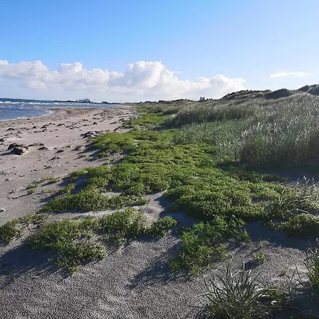 Casa de Férias 4 Person In Laeso-by Traum *