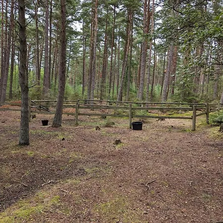 4 Person In Laeso-by Traum Læsø